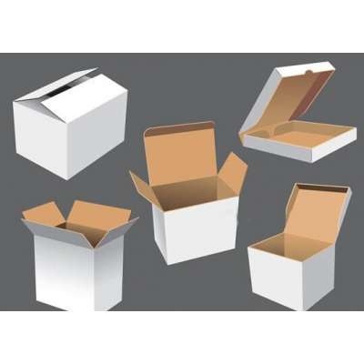 High quality brown/white flute packaging corrugated carton box / coardboard paper packaging carton wholesale LR3007