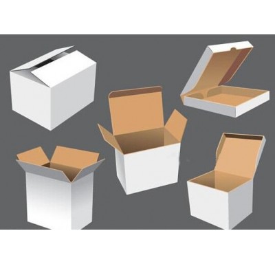 WHITE CARDBOARD FOLDING MOVING PAPER BOX